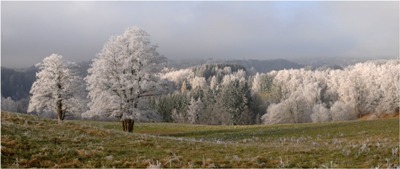 Josef Kvičera - Klášterec panorama